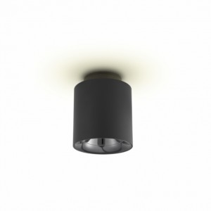 C3019